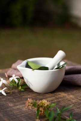 [freepicdownloader.com]-front-view-plants-bowl-large