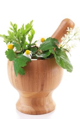 [freepicdownloader.com]-mortar-with-herbs-isolated-white-medium